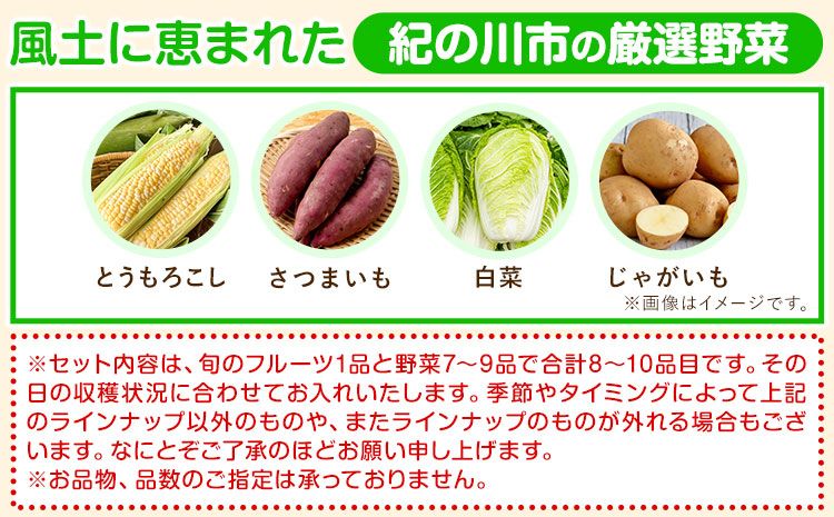 紀の川市の恵み 旬のフルーツ＆野菜セット 計8~10品《30日以内に出荷予定(土日祝除く)》和歌山県 紀の川市 フルーツ 果物 野菜 セット 桃 梅  みかん 新玉ねぎ なす トマト キャベツ---wfn_cvegeset5_30d_23_13000_8_10s---