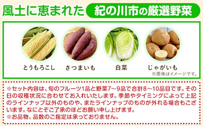 紀の川市の恵み 旬のフルーツ＆野菜セット 計8~10品《30日以内に出荷予定(土日祝除く)》和歌山県 紀の川市 フルーツ 果物 野菜 セット 桃 梅 みかん 新玉ねぎ なす トマト キャベツ---wfn_cwlocal69_30d_25_14000_8_10s---