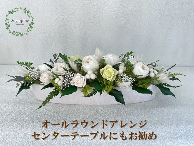 yʌtszAJ098-2 vU[uht[yvW[/sAO[zts VK[pC