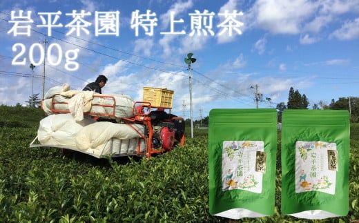 y򕌌SÒz362. ╽  100g 2pbN v200g