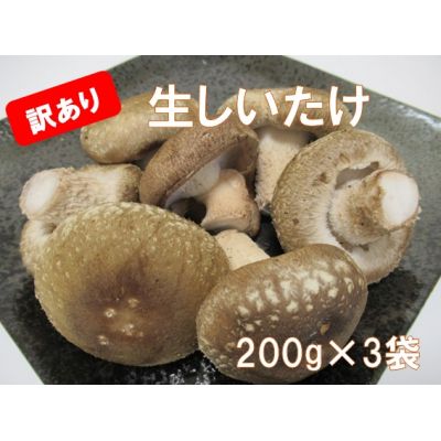 [CF]「訳あり」生しいたけ 200g×3袋(サイズ混合) ※離島不可