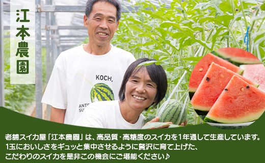 【期間限定】江本農園の11月秋アンテナスイカ2玉 - 数量限定 のし対応可 熨斗 果物 くだもの フルーツ すいか 西瓜 糖 完熟 甘い みずみずしい 瑞々しい ハウス栽培 ジューシー 果汁 果実 贈り物 贈答用 贈答品 プレゼント プチ ギフト お祝い 御祝い 内祝い 御礼 お礼 ご褒美 家庭用 ご自宅用 旬 赤色 果肉 おとりよせ お取り寄せ グルメ 高知県 香南市 常温 em-0018