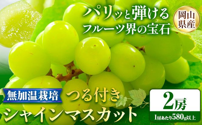 【先行予約】 岡山県産 無加温栽培 つる付き シャインマスカット 2房 (580g以上) 【配送不可地域あり】 《9月上旬-11月上旬頃に出荷予定》 岡山県 矢掛町 マスカット ぶどう 葡萄 果物---osy_chbf12_ad911_25_23000_2---