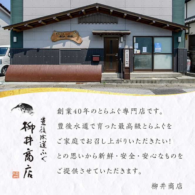 豊後とらふぐ ふぐちり鍋用3Pセット(計約1.1kg・9-12人前) フグ 鍋 ふぐちり 冷凍 養殖 海鮮 魚介 国産 大分県 佐伯市【AB225】【柳井商店】