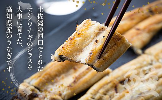 高知県産うなぎの白焼き 中サイズ 3尾(合計360g以上) タレ付き 高知県産うなぎの白焼き 中サイズ 3尾(合計360g以上) タレ付き