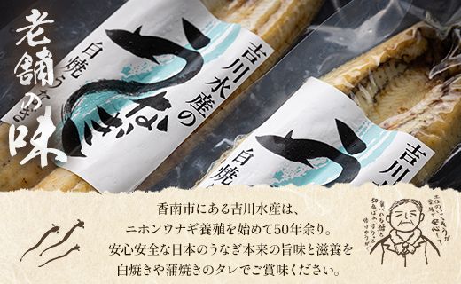 高知県産うなぎの白焼き 小サイズ 2尾(合計200g以上) タレ付き - 鰻 ウナギ 有頭 スタミナ 夕飯 おつまみ 丼 のし対応可 ギフト 贈答  贈り物 吉川水産 高知県 香南市【冷凍】 yw-0043