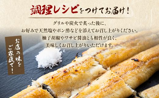 うなぎ白焼き 高知県産うなぎの白焼き 150～180ｇ×3尾 - エコ包装 国産 うなぎ 白焼き 鰻 冷凍 高知 yw-0115