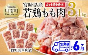 【6ヶ月定期便】宮崎県産 若鶏 もも肉 3.1kg 【 鶏肉 もも肉 肉 小分け からあげ チキン南蛮 国産 九州産 宮崎県産  送料無料 】[E7204t6]