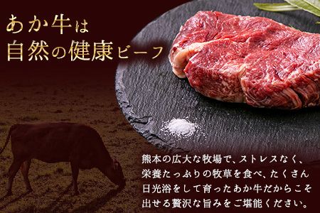 あか牛 ヒレ ステーキ 450g (150g x3) 熊本県産 和牛 肉 《2026年1月中旬-3月末頃出荷》 冷凍庫 個別 取分け 小分け 個包装 ステーキ肉 あかうし 赤牛 あか牛丼 にも 国産 フィレ 牛ヒレ 牛ヒレステーキ 赤身---oz_fakahr_bc13_r7_25000_450g---