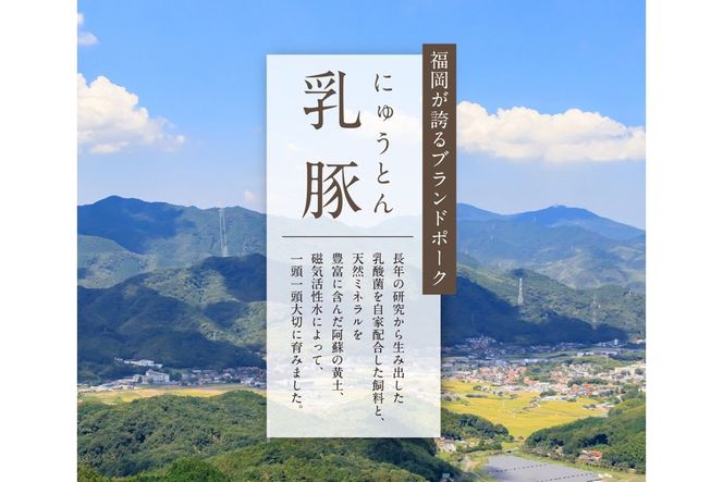 【A7-040】乳豚 ステーキ6枚