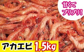 アカエビ　1.5kg　N014-YZA583