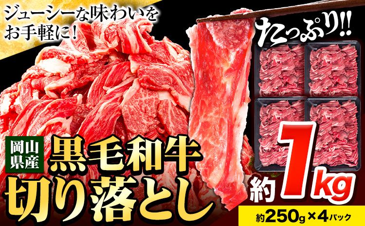 牛肉 肉 黒毛和牛 切り落とし 訳あり 大容量 小分け 1kg 1パック 250g [30日以内に出荷予定(土日祝除く)]岡山県産 岡山県 笠岡市 お肉 にく カレー 牛丼 切り落し 切落し---kasaoka_zsy_4_1---