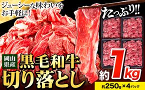 牛肉 肉 黒毛和牛 切り落とし 訳あり 大容量 小分け 1kg 1パック 250g 《30日以内に出荷予定(土日祝除く)》岡山県産 岡山県 笠岡市 お肉 にく カレー 牛丼 切り落し 切落し---223_f651_30d_23_11500_1kg---