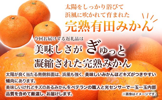 ＜先行予約＞家庭用 完熟 有田 みかん 5kg+150g（傷み補償分）【わけあり・訳あり】【光センサー選果】 池田鹿蔵農園@日高町（池田農園株式会社）《11月中旬-1月末頃出荷》和歌山県 日高町【配送不可地域あり】みかん 有田みかん---wsh_idn37_11c1m_24_10000_5kg---