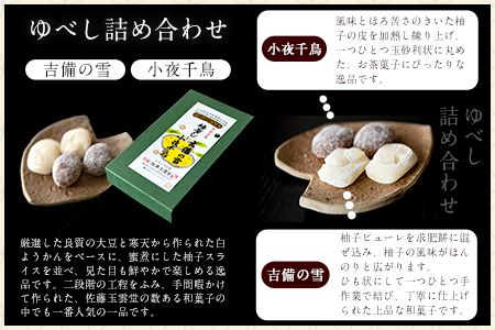 ゆべし・柚子ようかん詰め合わせ 佐藤玉雲堂 岡山県矢掛町 柚子 ようかん 和菓子 スイーツ デザート《30日以内に出荷予定(土日祝除く)》---osy_satoybyz_30d_24_13500_3i---