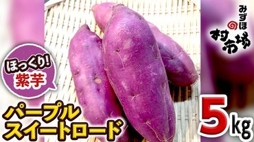 さつまいも 「 パープルスイートロード 」 5kg 紫芋 旬 甘い 芋 いも サツマイモ スイーツ 野菜[AM063us]