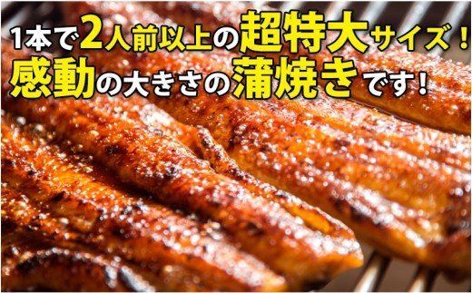 269.【うなぎ屋かわすい】超特大国産うなぎ10本セット （200～229g）(A269-1)
