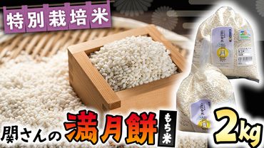 [ 特別栽培米 ] 関さんの もち米「 満月餅 」 2kg 特別栽培農産物 認定米 米 コメ お米 餅米 [AM018us]