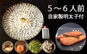 AD149 活とらふぐ刺身セット５～６人前　自家製明太子付【ふぐ フグ 河豚 刺身 刺し身 さしみ めんたいこ ミシュラン 新鮮 送料無料 北海道・沖縄配送可】