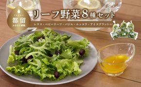 BB021　リーフ野菜8種類詰合せセット