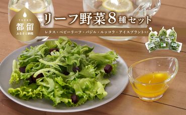 リーフ野菜8種類詰合せセット