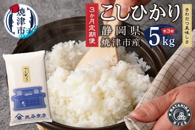 a33-006　【定期便 3回】 米 5kg コシヒカリ