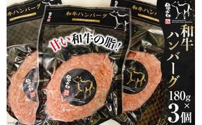 和牛ハンバーグ３個セット（180g×3個） [気仙沼市物産振興協会 宮城県 気仙沼市 20563637] 