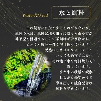 亀岡牛リブロースステーキ 400g（200g×2枚）≪京都府産 丹波 黒毛和牛 牛肉 冷凍 送料無料≫