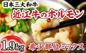 数量限定 希少近江牛ホルモン＆ミックスホルモン 合計1.9kg【FO05U】