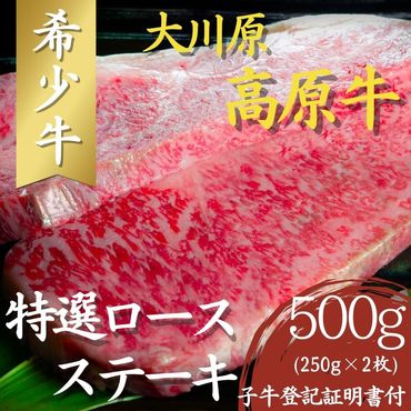 [CF]大川原高原牛 特選ロースステーキ500g(250g×2枚)