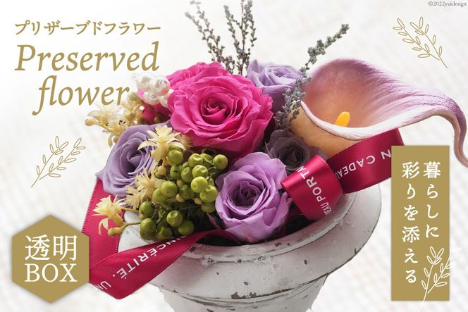 yΐ쌧BuzvU[uht[ AW t {bNX   [littleprincess ΐ쌧 Bu 38600155]