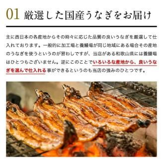 999.特大サイズ国産うなぎ蒲焼き170g3本セット(A999-1)