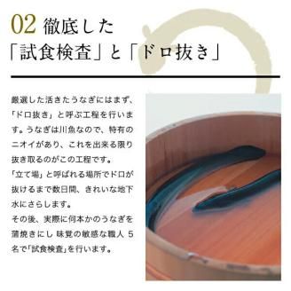 1003.特大サイズ国産うなぎ蒲焼き170g1本セット(A1003-1)
