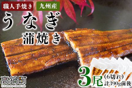 ＜職人手焼き九州産うなぎ 蒲焼き3尾（6切れ）計390g前後＞翌月末迄に順次出荷【c693_sk_x1】