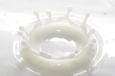 新潟県妙高発酵ジェラート5個セット（かんずり、みそ、あまざけ、コーヒー）