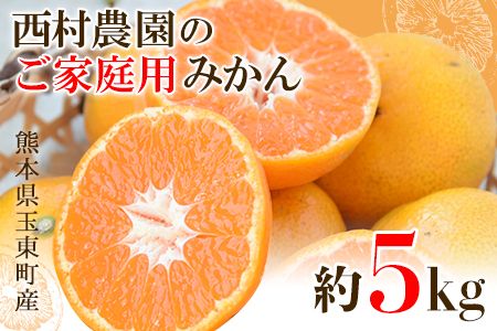 ご家庭用『西村農園』のご家庭用みかん★約5kg(2S-2Lサイズ) フルーツ 秋 旬★熊本県玉名郡玉東町 80年の老舗農家が作るジューシーみかん♪ちょこっと訳あり[12月上旬-12月末頃出荷]---sg_wnishinmikan_p11_24_8500_5kg---