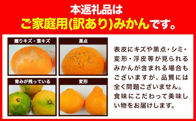 『大隅果樹園』のご家庭用みかん 約5kg(2S~Lサイズ) 大隅果樹園《10月下旬-12月下旬頃出荷》熊本県 玉名郡 玉東町 みかん 柑橘 フルーツ 果物 ご家庭用 訳あり---sg_wosumikan_p1012_24_7500_5kg---