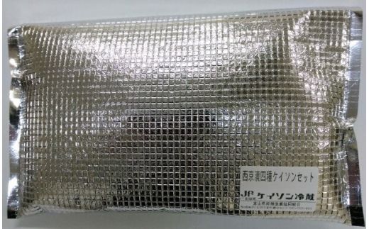 【冷凍・小分け】西京漬け4種セット（ブリ・サワラ・メダイ・銀ダラ 各1切）｜魚貝類 漬魚 味噌漬け 西京漬け 加工食品 ※北海道・沖縄・離島への配送不可