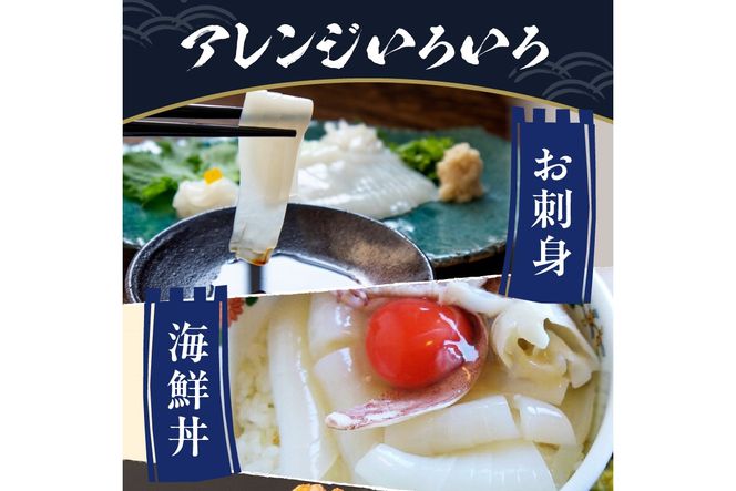 甘み絶大♪簡単♪すぐに食べられる／京丹後産『海の京都』の逸品！！　活白イカ姿造り（クリスタル白いか）特大サイズ 1杯（400g前後）（2024年6月上旬～発送）　YK00162