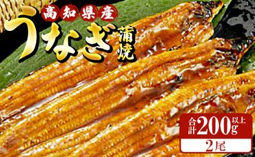 高知県産養殖うなぎ蒲焼 100～120g 2尾セット(合計200g以上) ss-0044