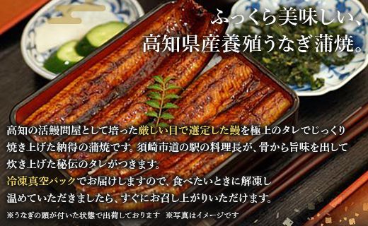 高知県産養殖うなぎ蒲焼 100～120g 2尾セット(合計200g以上) ss-0044