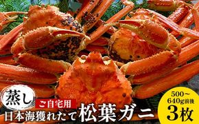 【先行予約】【蒸し】ご自宅用日本海獲れたて松葉ガニ　500～640g前後　３枚◇《かに カニ 蟹 ズワイガニ》 ※2024年11月上旬～2025年3月上旬頃に順次発送予定