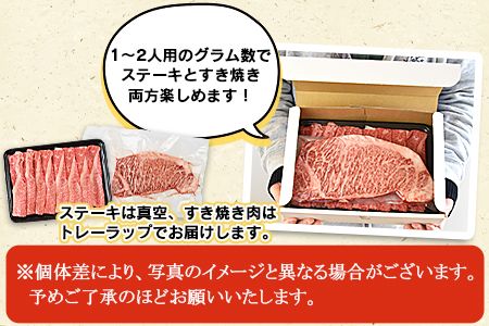 ＜宮崎牛サーロインステーキ ＆ 宮崎牛肩（ウデ）すき焼き肉セット 合計500g＞翌月末迄に順次出荷【b0381_ty】