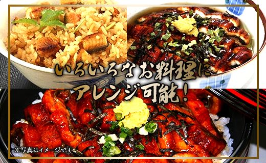 国産 きざみうなぎ蒲焼き 10パックセット たれ・山椒付き ss-0050