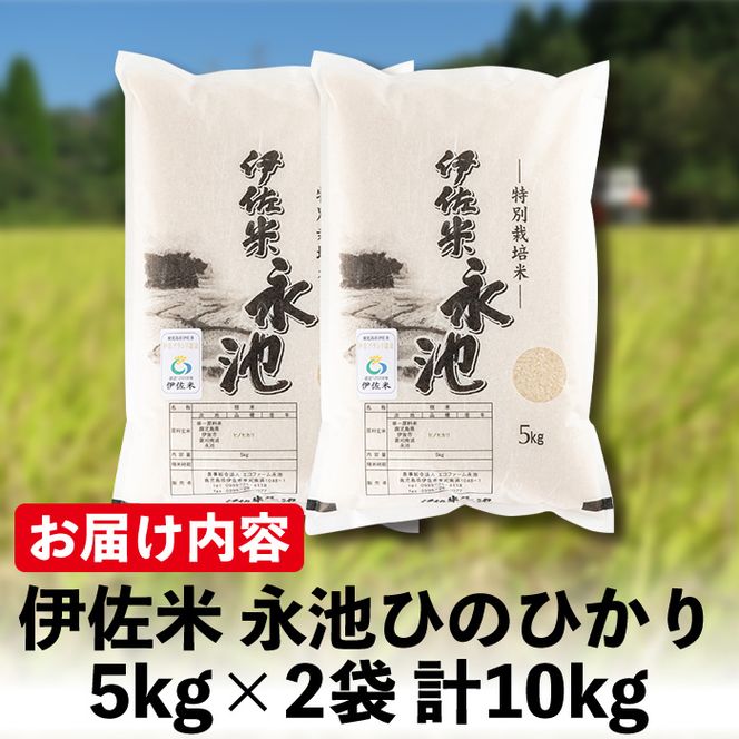 A4-06 令和5年産 特別栽培米 永池ひのひかり(計10kg・5kg×2袋)鹿児島でも極良食味のお米が出来る永池地区で作ったお米！九州米サミット食味コンテスト最優秀賞2回受賞【エコファーム永池】