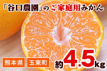 ご家庭用『谷口農園』のみかん★約4.5kg(2S-2Lサイズ) 予約受付中 フルーツ 旬★熊本県玉名郡玉東町 ミネラルたっぷり竹パウダーの土で育つ甘〜いみかん♪ちょこっと訳あり[11月-12月頃出荷]---sg_wtamkn_bc11_23_8000_4500g---