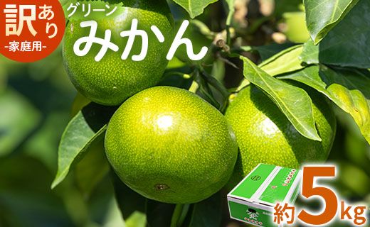 家庭用 訳あり グリーンみかん 約5kg - 送料無料 ミカン 蜜柑 柑橘 果実 ご自宅用 旬 かなや農園 合同会社Benifare 柑橘類 すっぱい 早生 わせ 爽やか be-0067