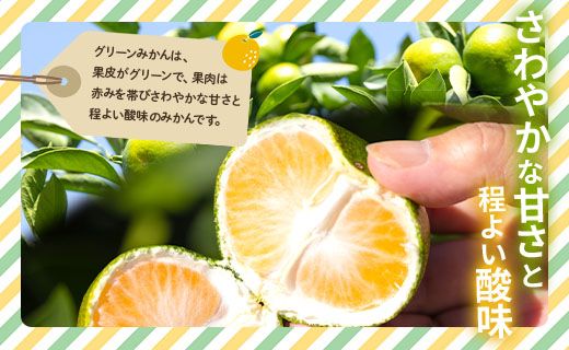 【2026年9月より順次配送】訳あり(家庭用) サイズお任せ グリーンみかん 10㎏ 3S～Mサイズ be-0120