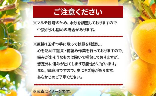 家庭用 訳あり 極早生みかん 約5kg - 送料無料 訳アリ フルーツ 果物 くだもの 果実 甘い 酸味 旬 ジュース ママレード マーマレード おいしい 美味しい かなや農園 合同会社Benifare 国産 特産品 高知県 香南市 常温 be-0024