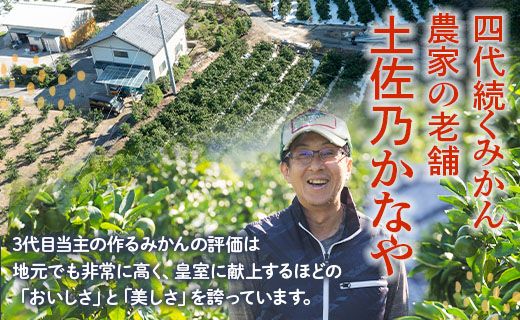 【数量限定】土佐乃かなや マルチ 山北みかん 約5kg - 送料無料 フルーツ 果物 温州みかん ミカン 柑橘 かなや農園 5キロ 柑橘類 柑橘 おすそわけ ジャム ジュース フレッシュ 濃厚 のうこう 高知県 香南市 常温 be-0017